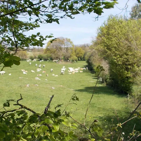 Terre Et Eau Les D'hotes Sevremont La Flocellière