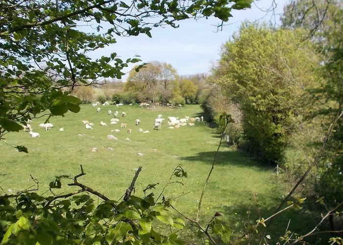 Terre Et Eau Les D'hotes Sevremont La Flocellière
